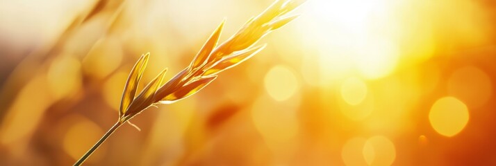 Poster -  A tight shot of a green plant against a sun-lit background