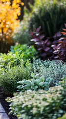 herbs in modern autumn garden design 