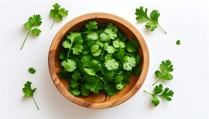 Wall Mural - Fresh cilantro leaves in a rustic wooden bowl arranged on a clean white surface