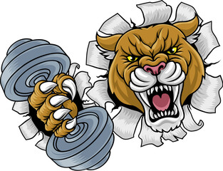 Poster - Cougar, panther, mountain lion or puma wildcat cat weight lifting dumbbell gym sports mascot