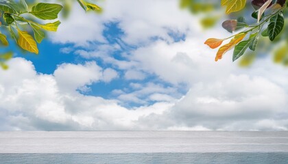 Wall Mural - sky and sea