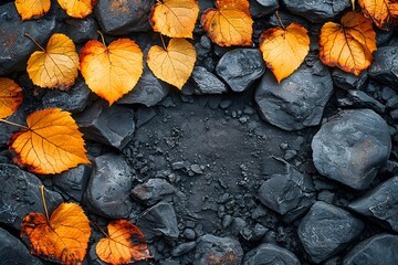 Vibrant autumn leaves on dark stones: nature’s contrast in fall season