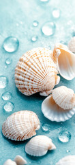 Wall Mural - White seashells on a pastel blue background. Summer holiday and vacation concept. Seashell