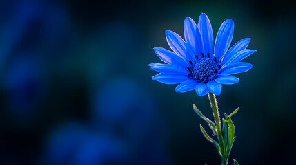 Wall Mural -  A close-up of a blue flower on a stem against a blurred background