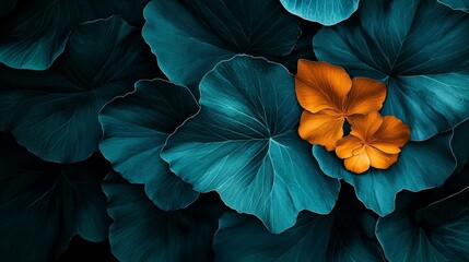 Poster -  A tight shot of vibrant leaves encloses a bright orange flower at their heart