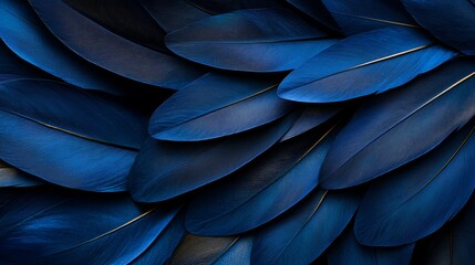 Poster -  A tight shot of a blue bird's feathers, featuring golden lines at the feather tips The feather tips display gold accents