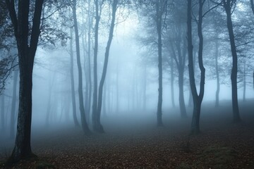 Canvas Print - Misty Forest Landscape