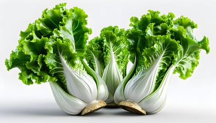 Wall Mural - Intricate 3D Visualization of Lettuce Stem on a Crisp White Background