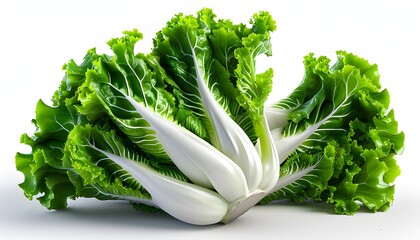 Wall Mural - Intricate 3D Visualization of Lettuce Stem on a Crisp White Background