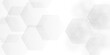 © MdLothfor - Abstract pattern with hexagonal white and gray technology line paper background. Hexagonal grid tile and mosaic structure mess cell. white and gray hexagon honeycomb geometric copy space.