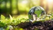 © Ailee Tian - A glass globe with the world inside, surrounded by green leaves and moss on top of soil.