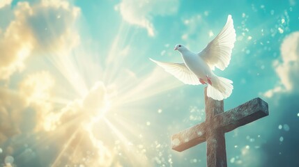 Peaceful white dove ascending over a cross in a spiritual scene of faith, with soft rays of light in the sky