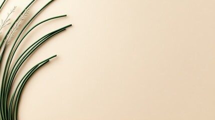 Poster - Fresh green chives arranged artfully against a soft cream background, perfect for culinary or artistic food presentations.