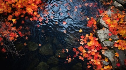 Canvas Print - tranquil black water overhead