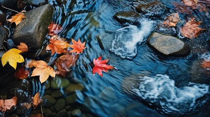 Wall Mural - flow water leaves