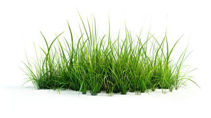 Natural, young green grass on a white background ,A vibrant clump of green grass with visible roots on a white background
