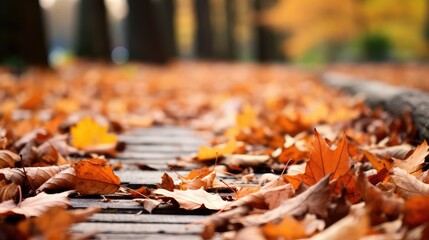 Wall Mural - foliage fall leaves background