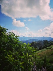 clouds over the mountains