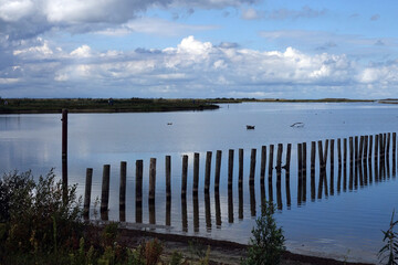 Canvas Print - Landscape of the Dutch Markerwadden