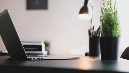 Poster - Laptop on a Desk with a Plant.