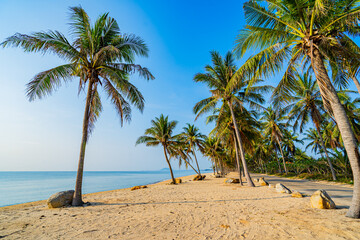 Coconut trees and beautiful sea beach