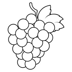 Wall Mural - various grapes outline coloring book page line art drawing