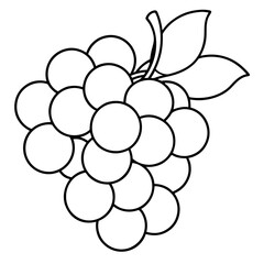 Wall Mural - various grapes outline coloring book page line art drawing