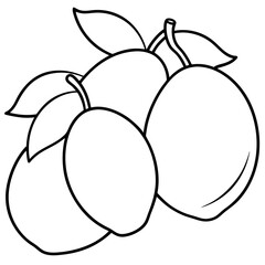 Wall Mural - various mangoes outline coloring book page line art drawing