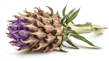 Sticker - A close-up of a purple artichoke, showcasing its unique texture and colors.