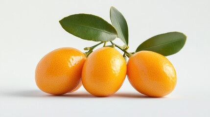 Wall Mural - Three vibrant kumquats with green leaves on a white background.