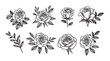 © Liliia - Hand drawn sketch roses set isolated on white background