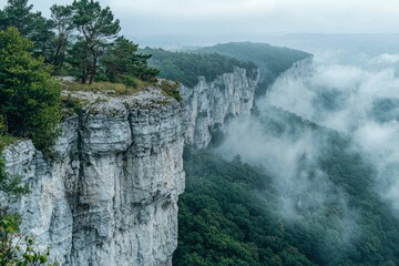 Wall Mural - A Steep Cliff Overlooking a Foggy Mountain Valley