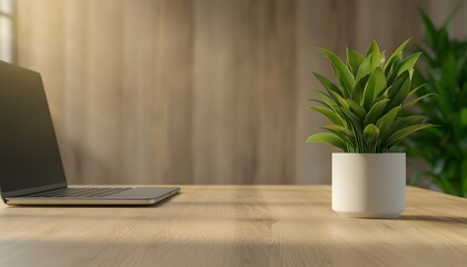 A modern workspace featuring a laptop and a green plant on a wooden table, ideal for home office inspiration.