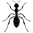 © Aynal - A smooth silhouette of a Ant vector illustration