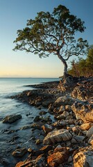 Poster - Serene Sunset Landscape with Tree on Rocky Coast