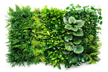 Wall Mural - Close-up of lush green plants and leaves against a white surface, ideal for use in backgrounds or as decorative elements