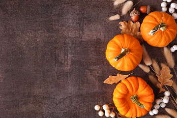 Aufkleber - Fall side border of orange pumpkins, berries and natural autumn decor. Top view on a rustic dark stone background with copy space.