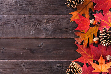 Poster - Colorful autumn leaves, nuts and pine cones. Side border over a rustic dark wood background. Top down view with copy space.
