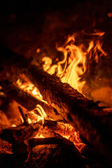Poster - The warm glow of a campfire lights up wooden logs, creating a cozy atmosphere on a calm night beneath the stars