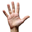 © stockpro - A close-up view of an open human hand, showcasing the palm and fingers, isolated on a transparent or white background.