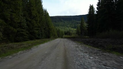 Wall Mural - POV driving forward along a rough forest dirt road. The road travels through a dense evergreen forest and the mountains are visible in the distance. British Columbia, Canada.