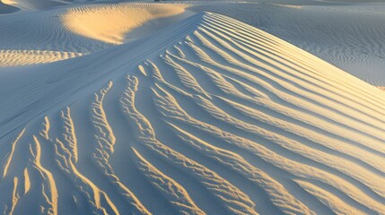 Poster - Sand Dunes Texture