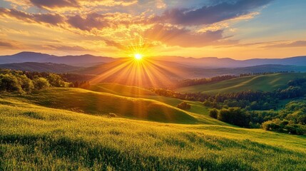 Wall Mural - Golden Sunset Over Rolling Hills