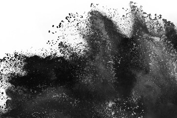 Wall Mural - particles of charcoal on white background,abstract powder splatted on white background,freeze motion