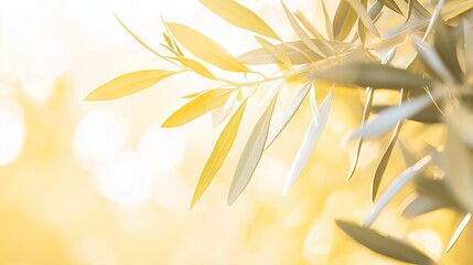 Poster - Basking in warm sunlight, close-up of vibrant olive leaves evokes peace and tranquility with a blend of yellow and green hues. Ideal for mediterranean summer vibes