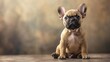 © Anna - A small brown-black dog sits atop a wooden plank against a brown-tan backdrop