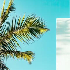 Tropical Palm Leaves Against a Bright Blue Sky