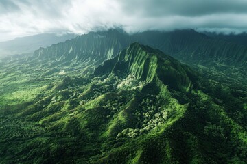 Aerial view of lush green forest and mountains under cloudy sky, Tantalus mountain peak, Hawaii, United States , ai