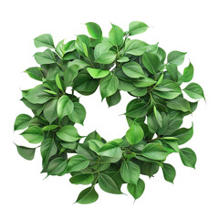 Green Wreath with Leaves