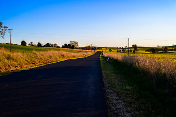 The photo was taken of scenery along the way to Harden town, featuring fields of rapeseed flowers